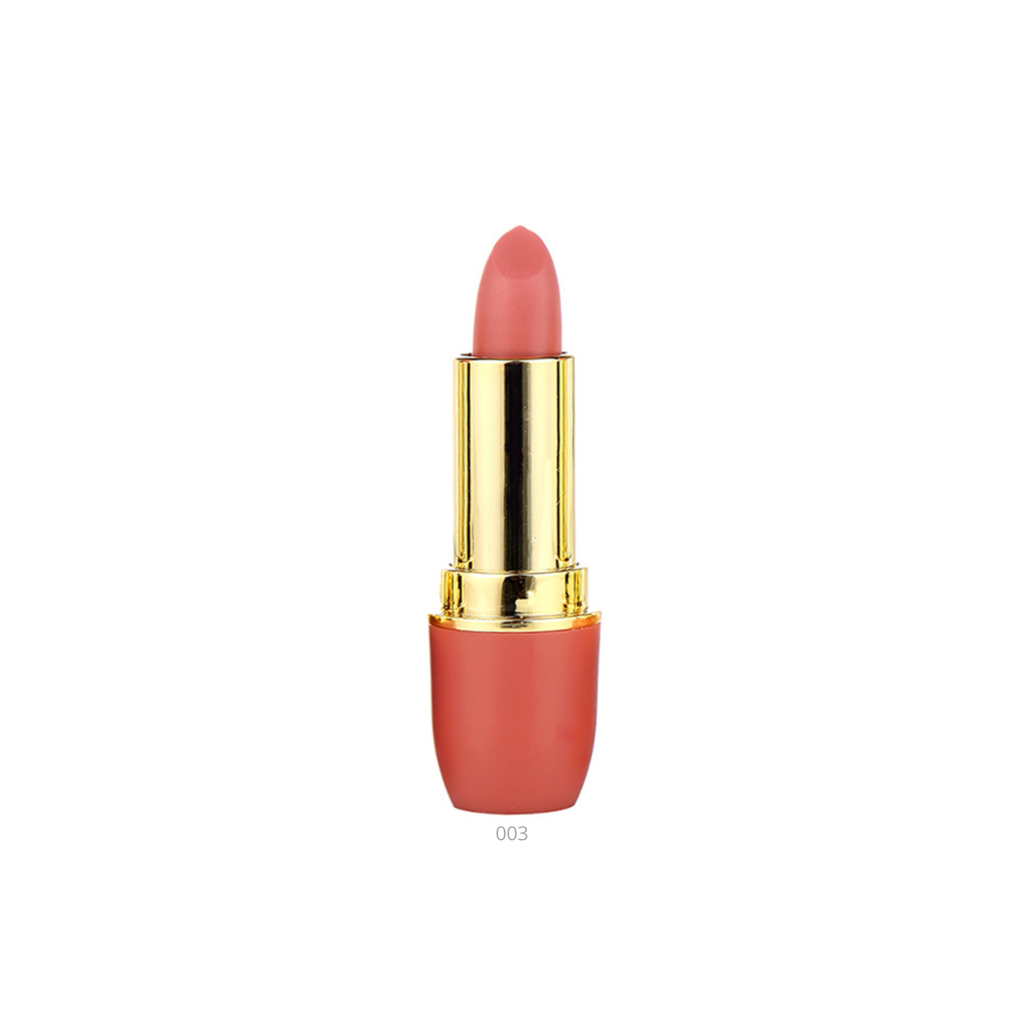 Matte 24H - Pintalabios Mate - 3,8g